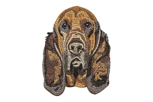 Download Bloodhound - Bloodhound Collection