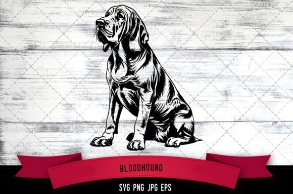 Download Bloodhound SVG, Dog SVG, Logo - Bloodhound Collection