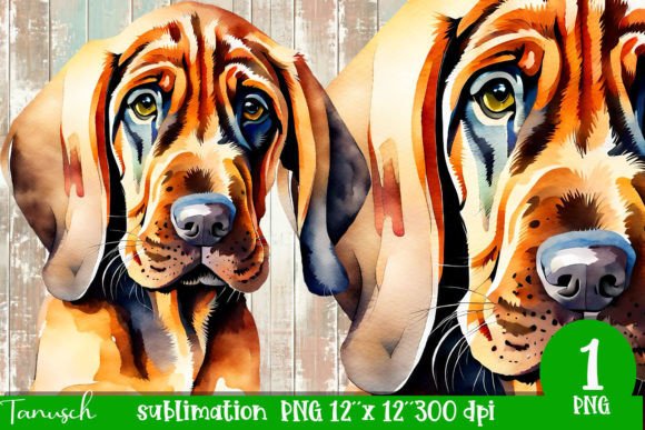 Download Watercolor Bloodhound Sublimation - Bloodhound Collection