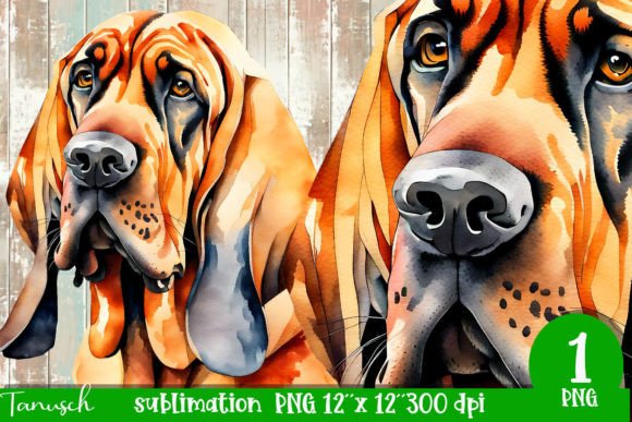 Download Watercolor Bloodhound Sublimation - Bloodhound Collection