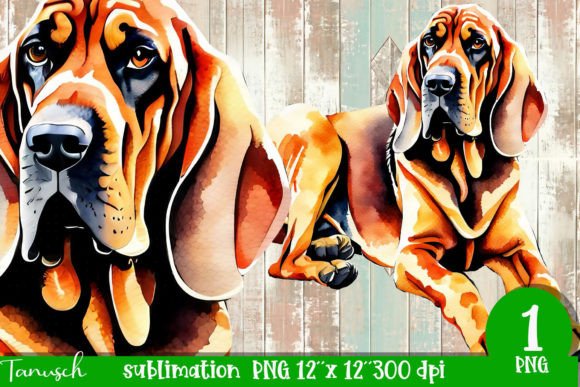 Download Watercolor Bloodhound Sublimation - Bloodhound Collection
